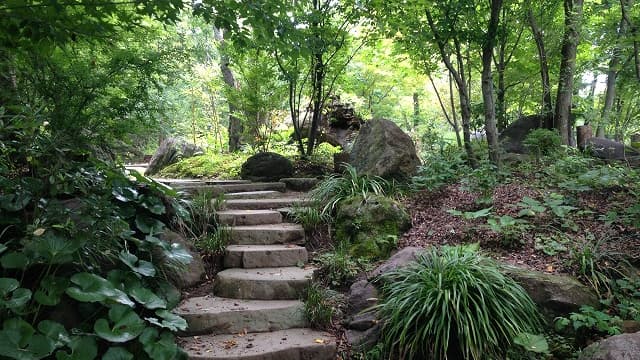 大分県速見郡の庭爺の森