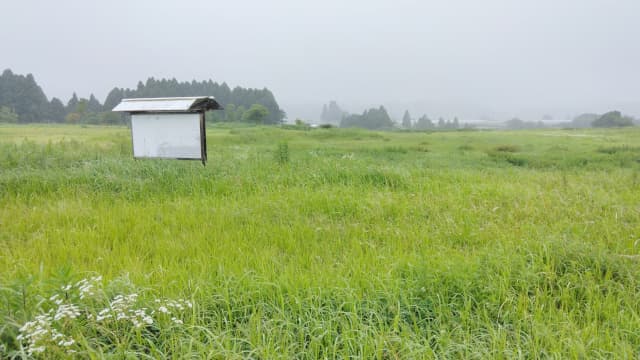 宮崎県の本野原遺跡