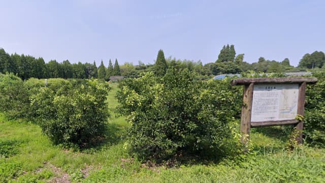 宮崎市の高岡町古墳