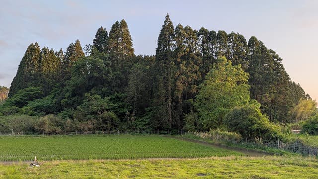 宮崎県宮崎市の生目村古墳