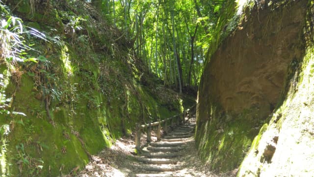 宮崎市の佐土原城跡＿大手道