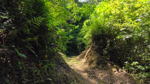 宮崎市の佐土原城跡＿堀切