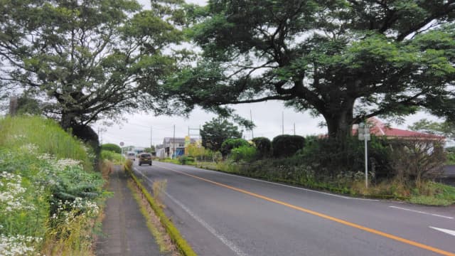 宮崎県の今町一里塚