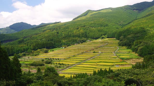 宮崎県の酒谷の坂元棚田及び農山村景観