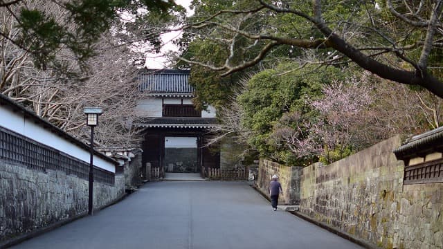 宮崎県の飫肥城