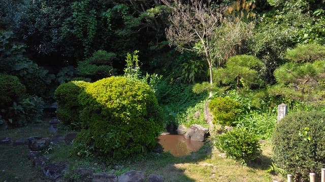 宮崎県の橋口氏庭園