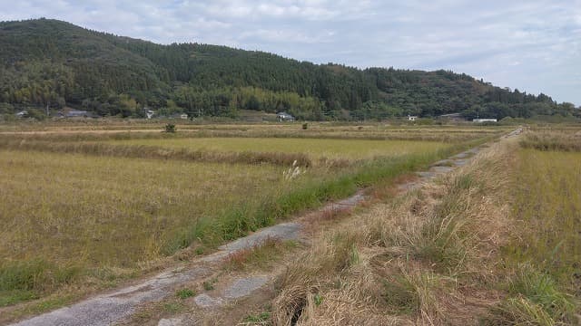 宮崎県串間市の市木村古墳