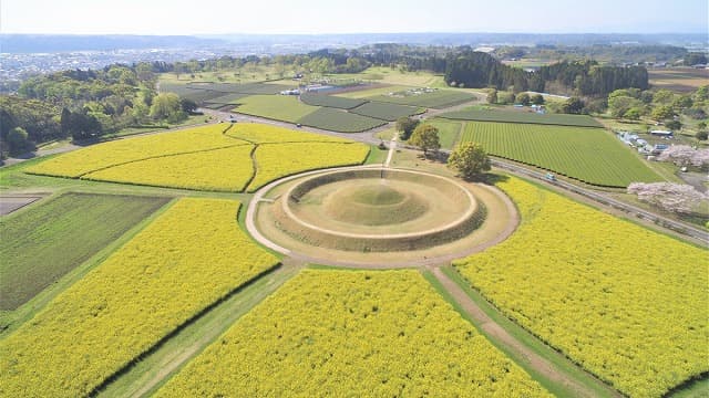 宮崎県の西都原古墳群