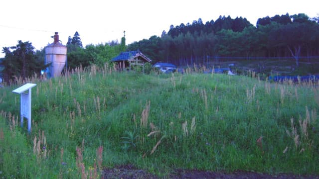 宮崎県西都市の永野古墳群