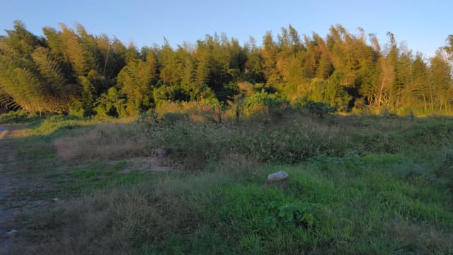 宮崎県えびの市の小木原地下式横穴墓群