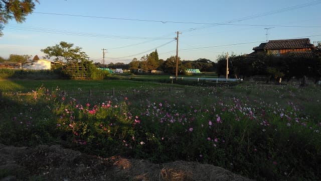 宮崎県えびの市の木崎原古戦場跡