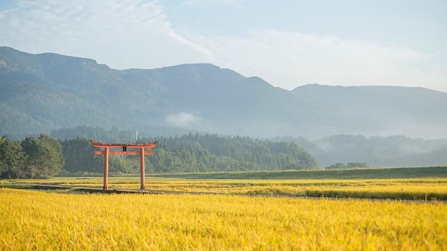 宮崎県えびの市の菅原神社