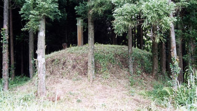 宮崎県東諸県郡の綾町古墳（王乃塚古墳）