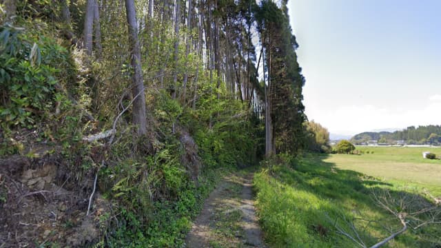 宮崎県東諸県郡の本庄町古墳