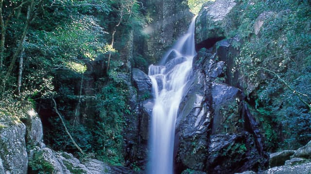 宮崎県児湯郡の紅葉の滝