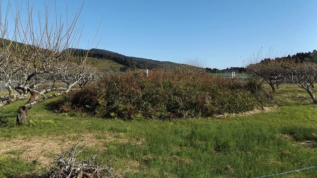 宮崎県児湯郡の木城村古墳