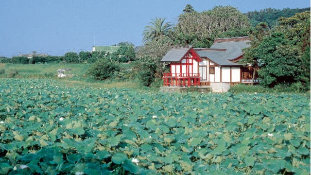 宮崎県児湯郡の湖水ケ池