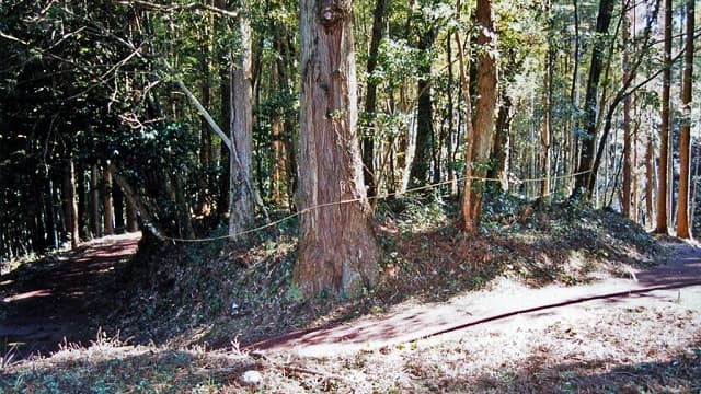 宮崎県東臼杵郡の南郷村古墳
