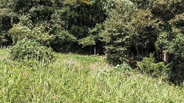 宮崎県西臼杵郡の岩戸村古墳