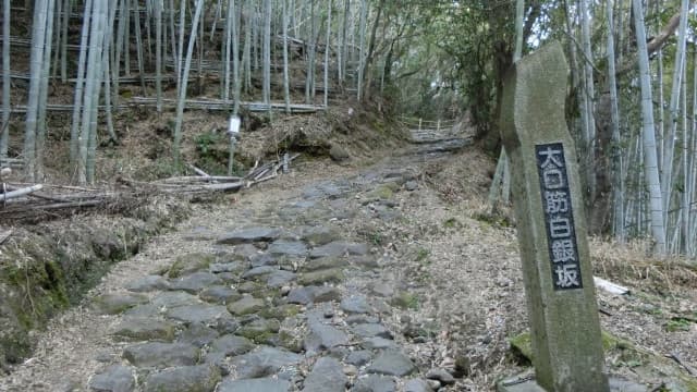 鹿児島県の大口筋白銀坂