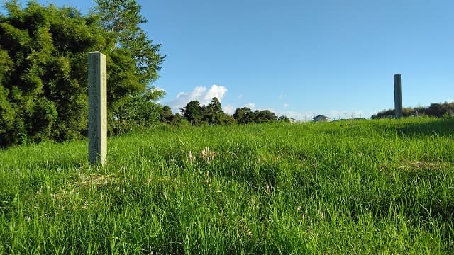 阿久根市の脇本古墳群