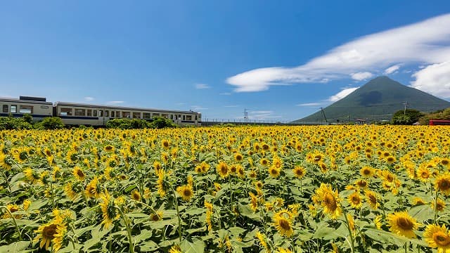 指宿市