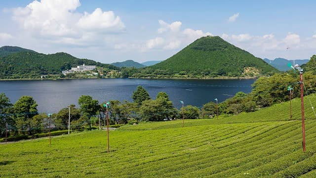 薩摩川内市の藺牟田池