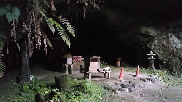 鹿児島県日置市の黒川洞穴