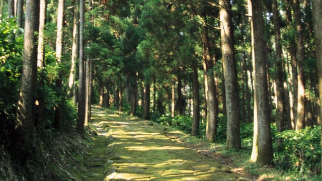 鹿児島県の大口筋龍門司坂