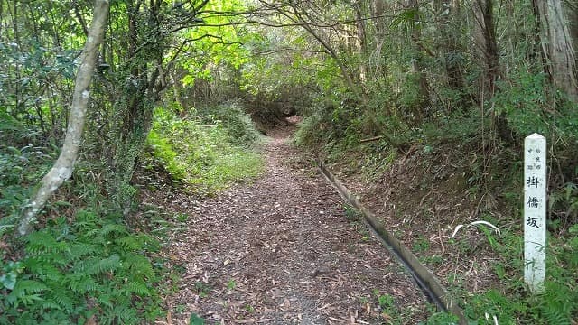 鹿児島県姶良市の掛橋坂