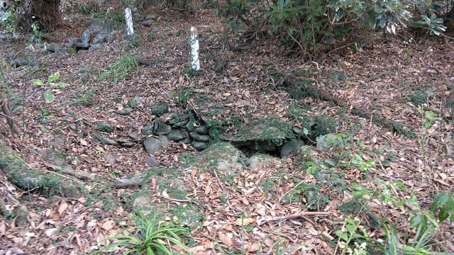 鹿児島県の指江古墳