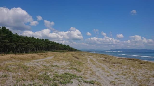 鹿児島県曽於郡のくにの松原