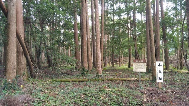 肝属郡の高山城跡