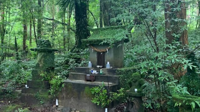 鹿児島県屋久島の牛床詣所