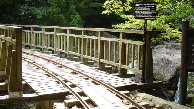 鹿児島県熊毛郡の屋久島トロッコ道