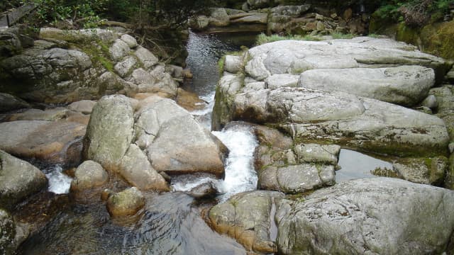 鹿児島県熊毛郡の白谷雲水峡