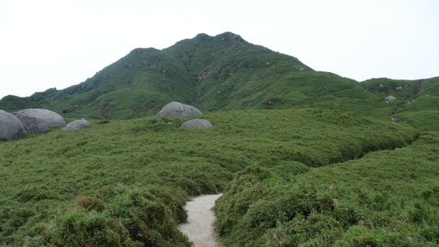 鹿児島県熊毛郡の屋久島