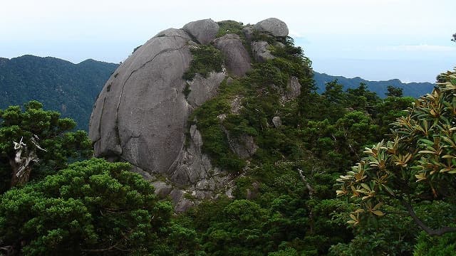 屋久島のビャクシン岩（坊主岩）