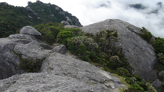 屋久島の黒味岳