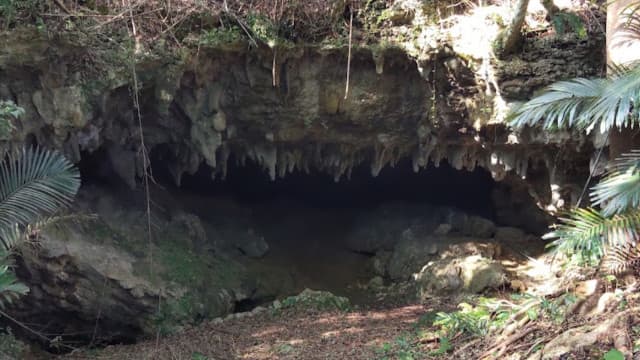 鹿児島県大島郡の中甫洞穴