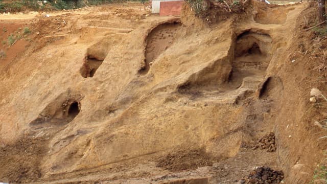 鹿児島県大島郡の徳之島カムィヤキ陶器窯跡